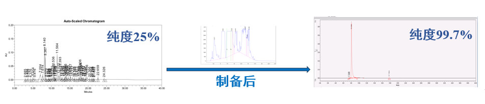 案例一：仿制药发补：大极性杂质制备.jpg